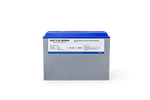 Battle Born 100Ah 12V LiFePO4 Deep Cycle Battery - Green Vista Living